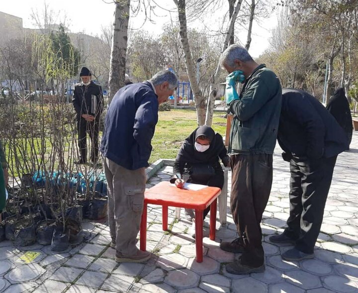 توزیع نهال رایگان به شهروندان در بوستان ها